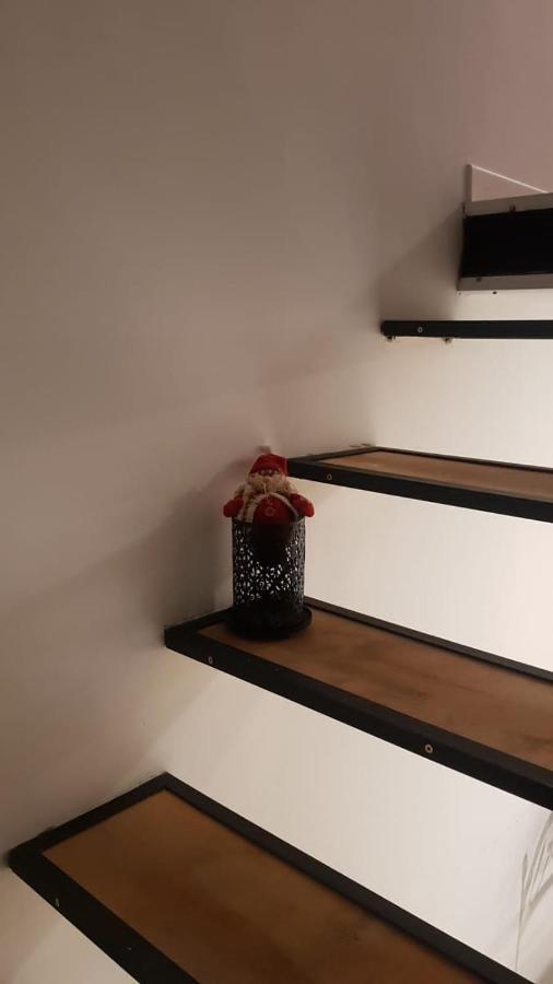 Coqueto Loft Palermo Hollywood Daire Buenos Aires Dış mekan fotoğraf
