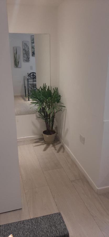 Coqueto Loft Palermo Hollywood Daire Buenos Aires Dış mekan fotoğraf